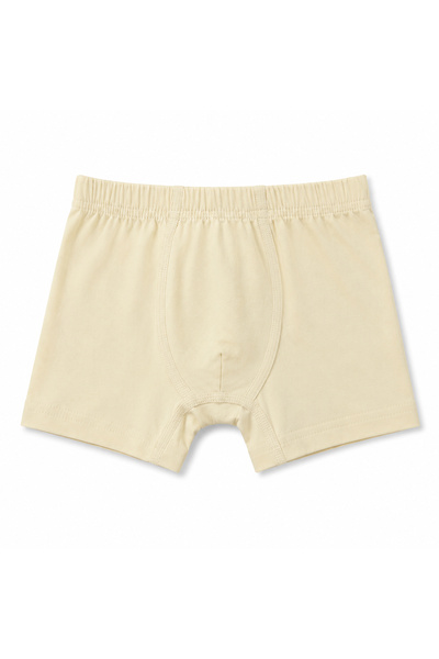 hepbaby Erkek Çocuk %100 Pamuklu Dinozor Desenli Boxer 3'lü Paket Çok Renkli 2-9 Yaş