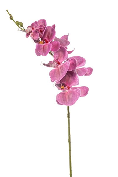 EMERALD Ramură artificială de orhidee Phalaenopsis fucsia 84 cm