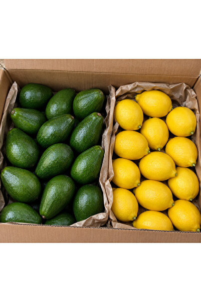 Mirayın bahçesinden 2 Kg Taze hasat avokado 2 Kg bol sulu Limon