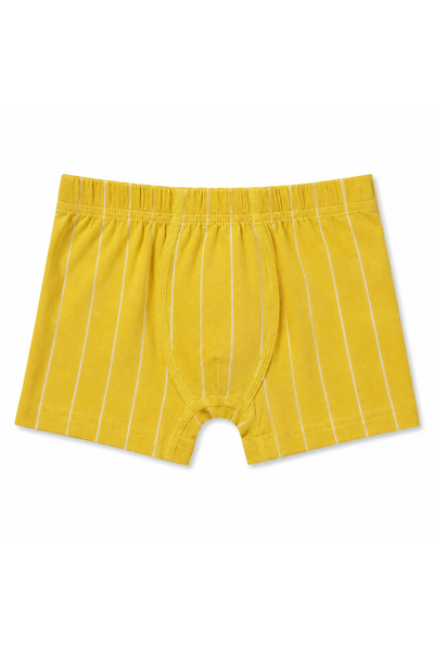hepbaby Erkek Çocuk %100 Pamuklu Dinozor Desenli Boxer 3'lü Paket Çok Renkli 2-9 Yaş