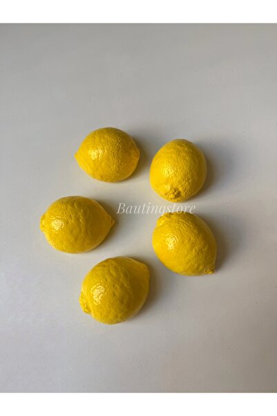 Bautinq Store El yapımı 5 li limon magnet buzdolabı magneti mıknatıslı fotoğr...