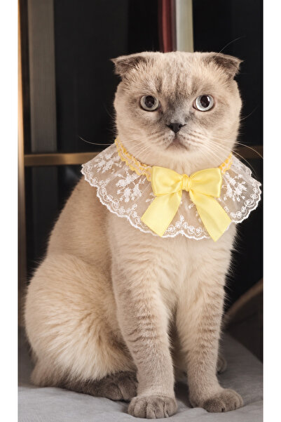 Canbutik Cat and Small Breed Dog Collar