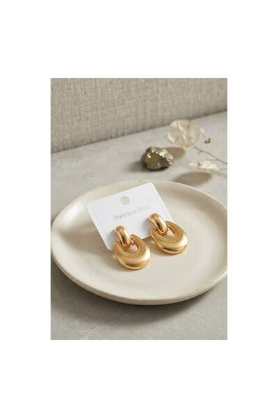 evimdeyokyok Steel Earrings Tj-Bkp12024