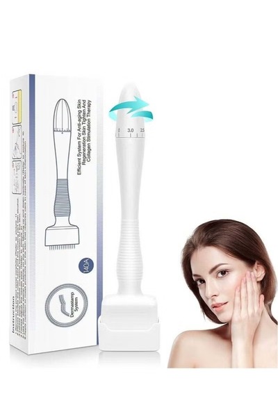 lanthour 6 in 1 Microneedle Roller Professional Derma Stamp Microneedle Skin ...