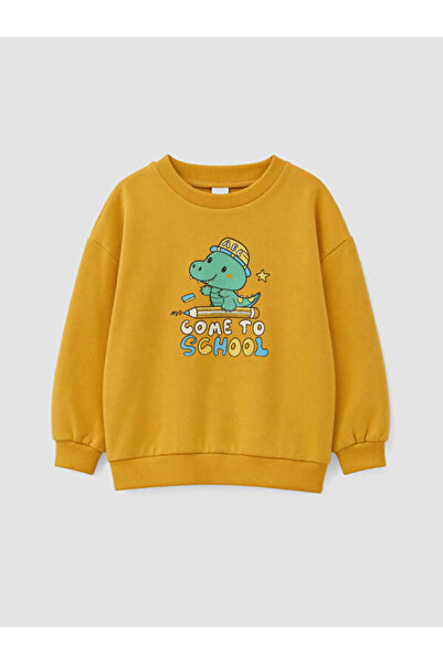 LC Waikiki Rmz Gi̇yi̇m Farkiyla Printed Boys' Sweatshirt