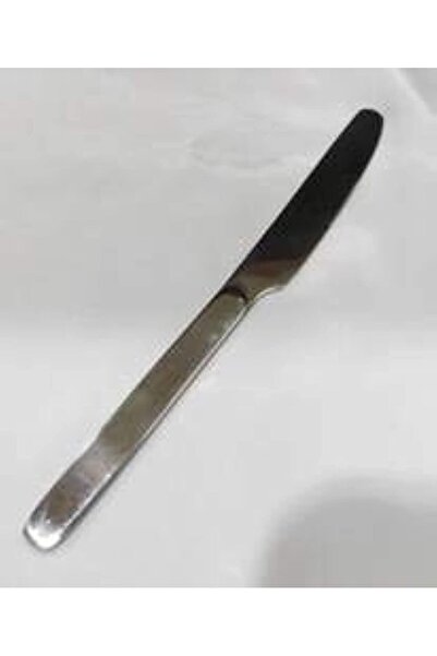 Winsor STAINLESS STEEL DESSERT KNIFE