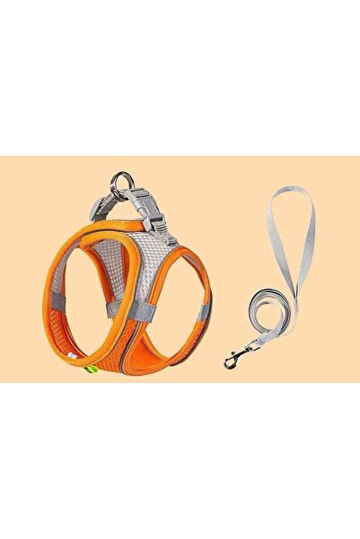 Köpek Tasması(XS)1.5-3 kg arası uygundur