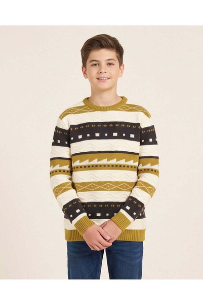 REDTAG Senior Boys Assorted Striped Crew Neck Pullover