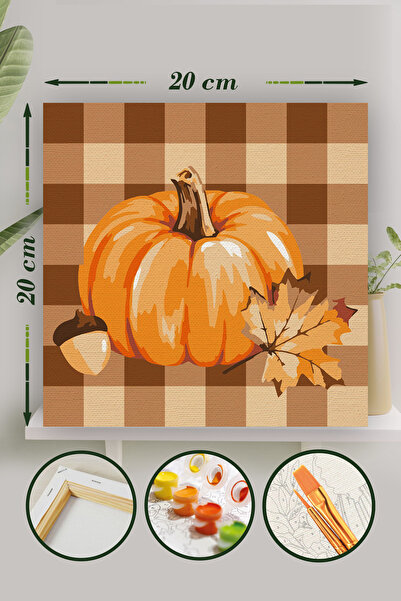 Palmiye Hobi & Sanat Sayılarla Boyama 20x20 Cm Tuval Seti Fırça Boya Dahil Çı...