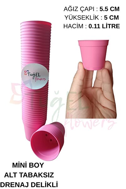 Tuğel Flowers 50 Adet Kaktüs&sukulent Üretim Saksısı 1.kalite (MİNİ BOY-5.5 CM)