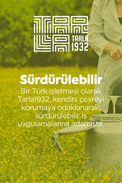 Tarla 1932 Ananas Sirkesi 500 ml | Doğal Fermantasyon