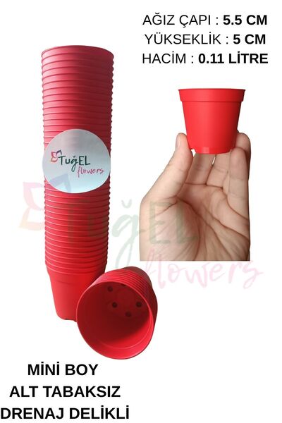 Tuğel Flowers 50 Adet Kaktüs&sukulent Üretim Saksısı 1.kalite (MİNİ BOY-5.5 CM)