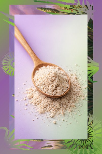 Mim and More Doğal Karnıyarık Otu Tozu – %100 Saf Psyllium Powder 100 g