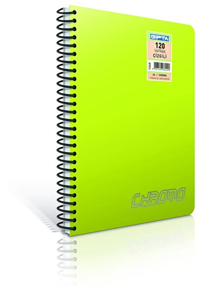 Gıpta Chromo A4 240 Sheets Checked PP Cover Spiral Notebook (2938)