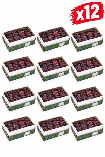 Hazar Gıda Lezzetli 12'li Paket 7200 Kg İran Hurması Koli Seti
