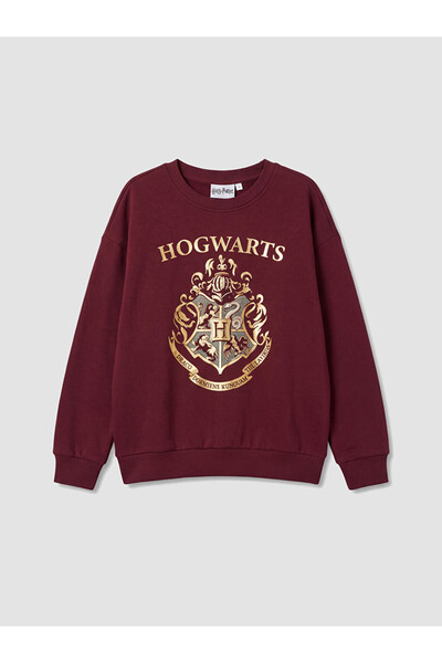 LC Waikiki I Harry Potter Boys' Thick Sweatshirt from Freezen Store