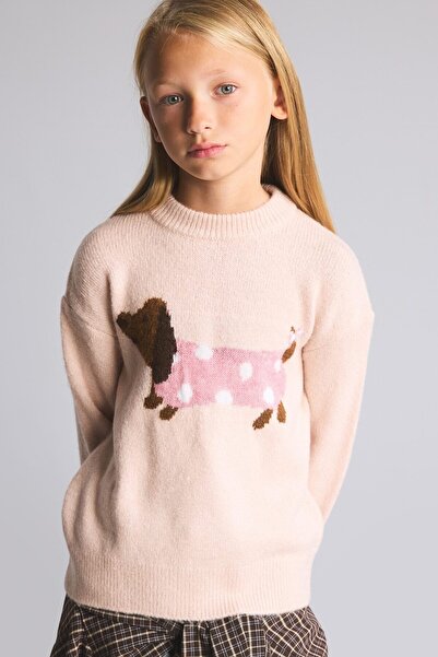 DeFacto Turtleneck Dog Patterned Knitwear Sweater for Girls I6385A826Wn