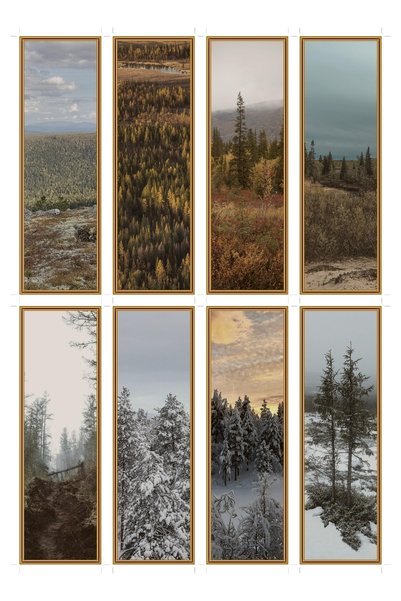 OEM Set 8 Semne de Carte Natura Sălbatică Taiga, Peisaj Pădure de Conifere, C...