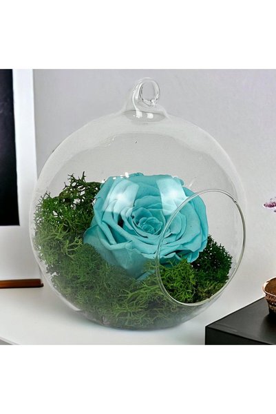 Trandafir Criogenat Trandafir conservat turcoaz în glob decorativ