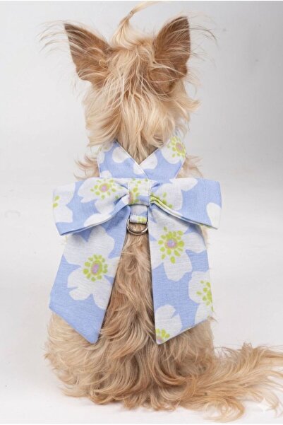 ÇİÇEKLİ FİYONK KÖPEK TASMA