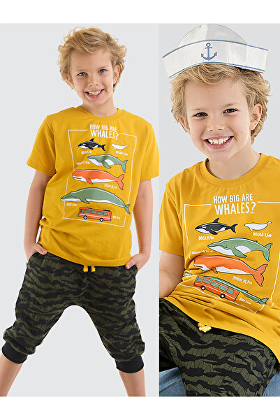 MSHB&G مجموعة تي شيرت صيفية للأولاد من Big Whales كابري