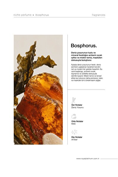 Royal Platinum Bosphorus Erkek EXTRAIT DE PARFUM 30 ML Deniz Yosunu - Amber - Misk | Ferah Seri