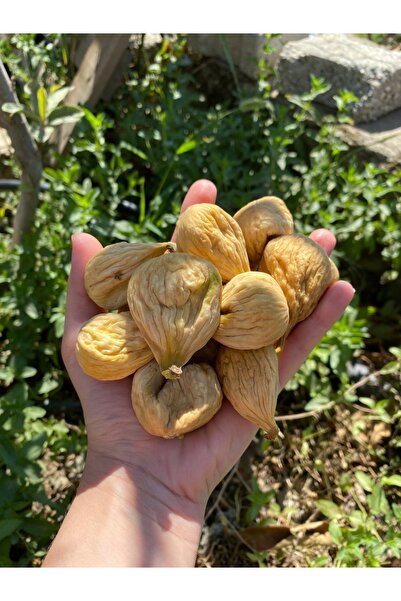 olivish Organik Kuru İncir Orta-Küçük Boy 500gr