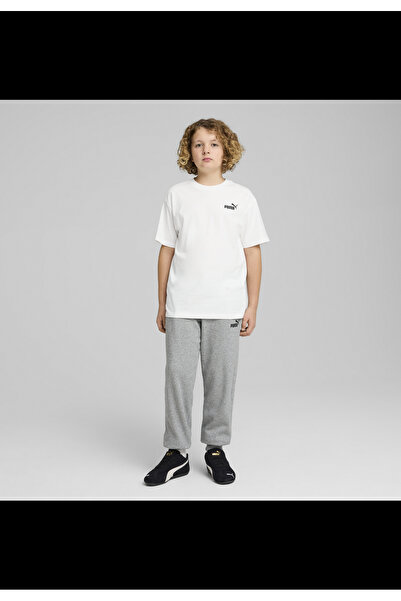 Puma Ess Small No. 1 Logo Relaxed T-shirt