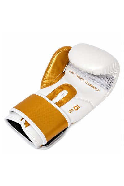 Dragondo Carbon 5 Muay Thai Boxing And Kick-boxing Gloves White 10 OzDragonDo boxing gloves muay thai kick boxing