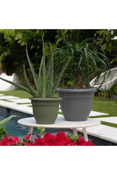 Bloem Ariana Self-Watering Planter, 6 in Round, Living Green, Poly Resin Pot with Matte Finish and Rolled Rim, Self-Watering Disk over Hidden Reservoir, UV-Protected, Indoor/Outdoor, No 20-56406