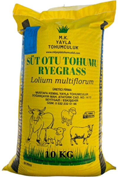 M.K. YAYLA TOHUMCULUK Süt Otu Tohumu (ryegrass) - Rye Grass - Italyan Çimi - ...