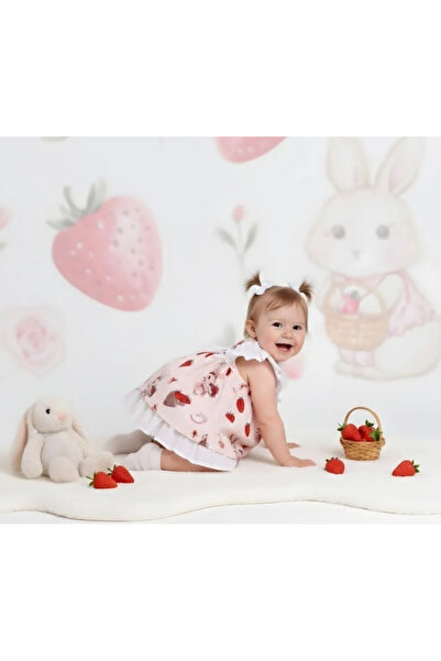 fk flamingo kids ÇİLEKLİ KIZ ELBİSE 9/24 PUDRA_PUDRA_12 AY