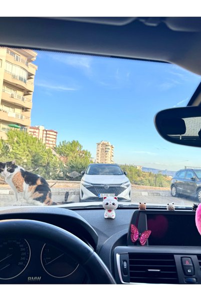 senfida Otomobil torpido süsü kafa sallayan kedicik torpido süsü kafa sallaya...
