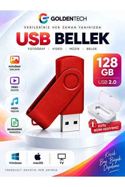 Golden Tech 128 Gb Metal Head Flash Memory and Plastic Box