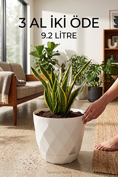 TEMMUZ HOME No 5 Karasu Plastik Yakamoz Saksı Büyük Boy Tabaklı Plastik Saksı