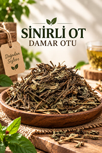 Aktarzane Sinirli Otu Dar Yapraklı Sinir Otu Damar Otu ''plantago'' 500 gr