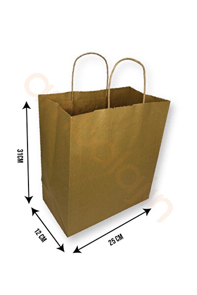 Home 25 Pieces 25X12X31 Cardboard Bags with Twist Tie Handles Medium Size
