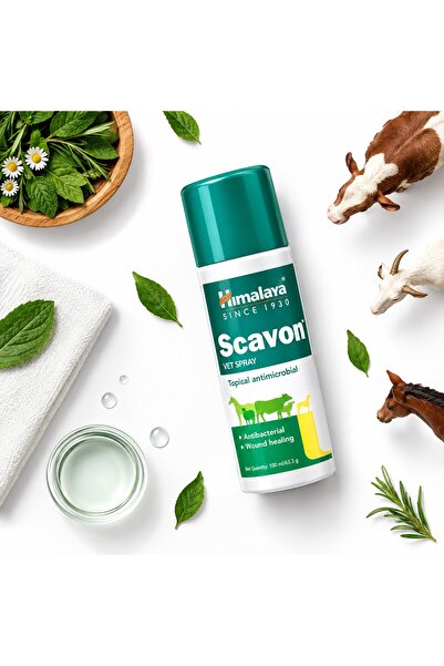 Himalaya Scavon Vet Spray 100ml – Antimicrobial Wound Care for Animals