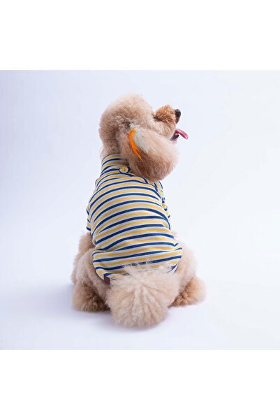 Pawstar Yellow Marseille Softline Striped Cat Dog Sweati Dog Outfit Cat Outfit