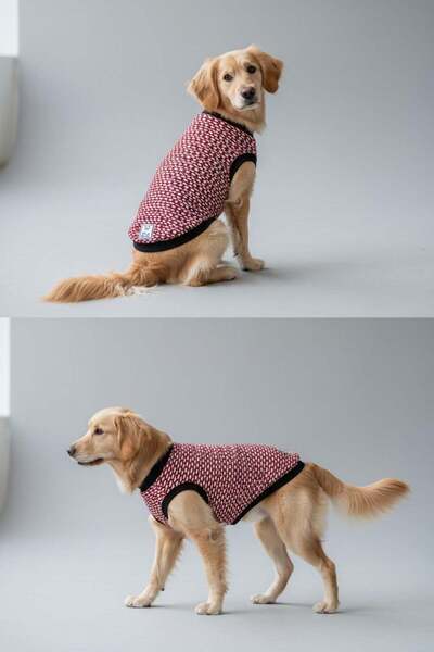 MİNİŞ PET BUTİK Miniş Burgundy Sleeveless Small Breed Dog Sweater (Large Size)