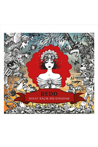 Plakzade Redd – Hayat Kaçık Bir Uykudur / LP