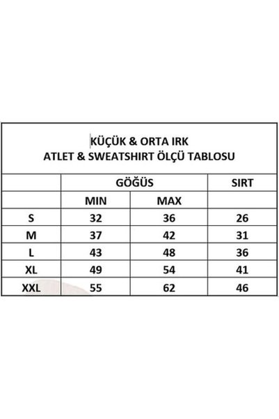 MİNİŞ PET BUTİK Miniş Burgundy Sleeveless Small Breed Dog Sweater (Large Size)