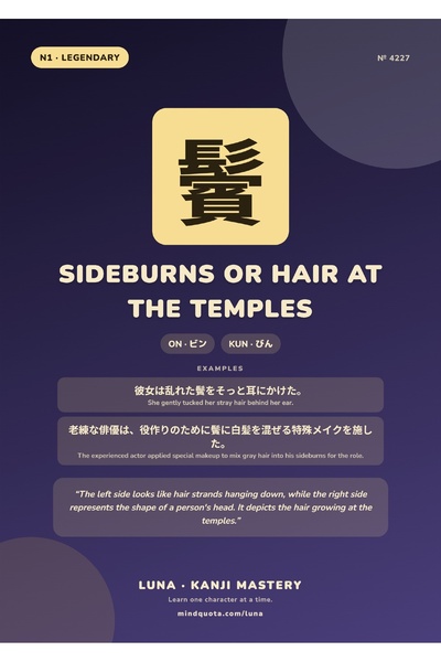 OEM Poster Infografic Kanji Perciuni sau Par la Temei, Design Japonez, Carton...