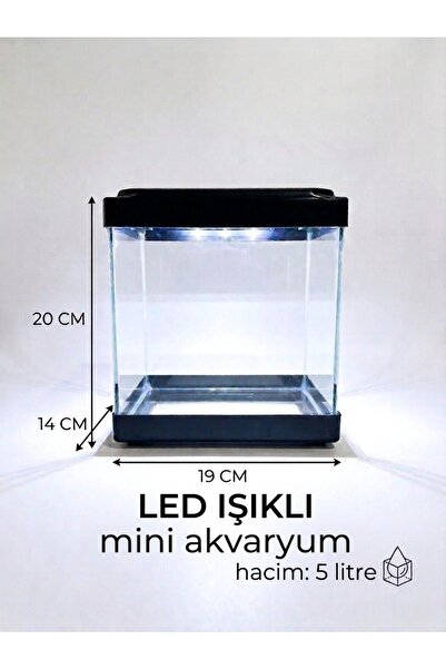 miyorapet LED Aydınlatmalı Cam Mini Akvaryum (5 Litre)