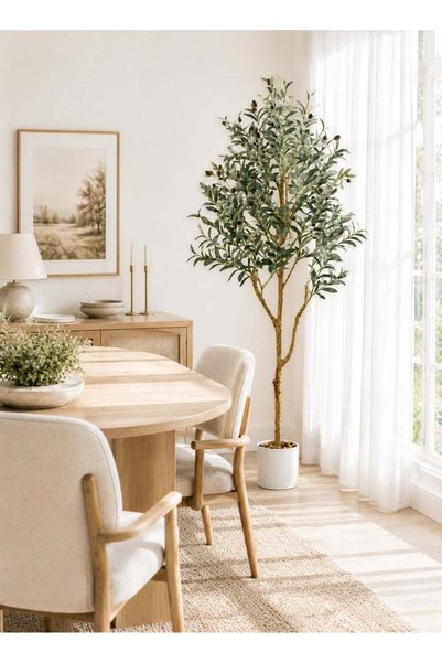 Generic Brand 180CM Premium Fruitful Zaitone Plant With White Decorative Pot ...