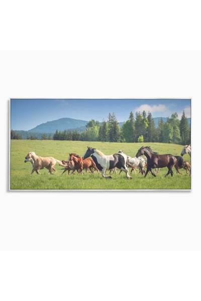 Luxcanva Tablou Canvas Galop in Vant de Vara 100x50 cm cu Rama Argintiu Galop...