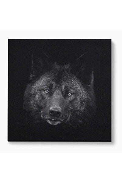Luxcanva Tablou Canvas Ascuns in Noapte 50x50 cm pe Sasiu Lemn Ascuns in Noap...