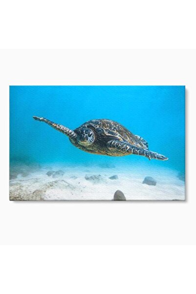 Luxcanva Tablou Canvas Plutire in Infinit 70x50 cm pe Sasiu Lemn Plutire in I...