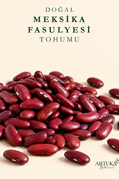 Artuka Botanica Doğal Meksika Fasulyesi Tohumu (50 ad) | Ata Tohum