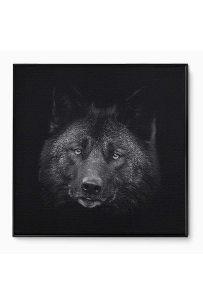 Luxcanva Tablou Canvas Ascuns in Noapte 90x90 cm cu Rama Negru Ascuns in Noap...